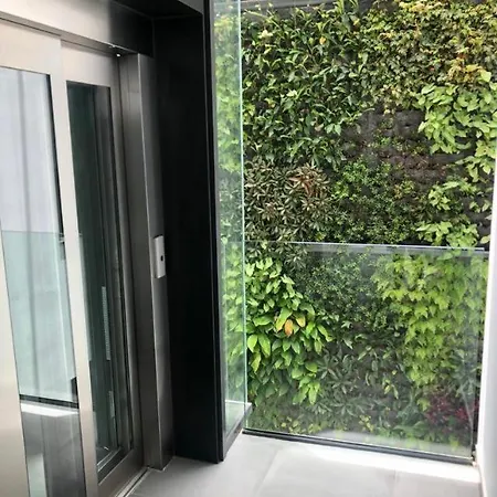Zen Garden 大加那利岛拉斯帕尔马斯